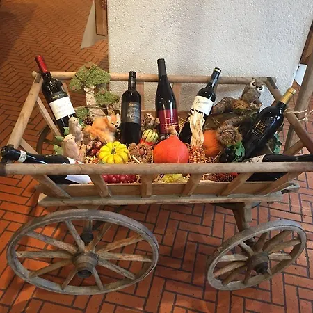 Hotel Schiffahrt Mols